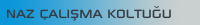 Naz Çalışma Koltuğu